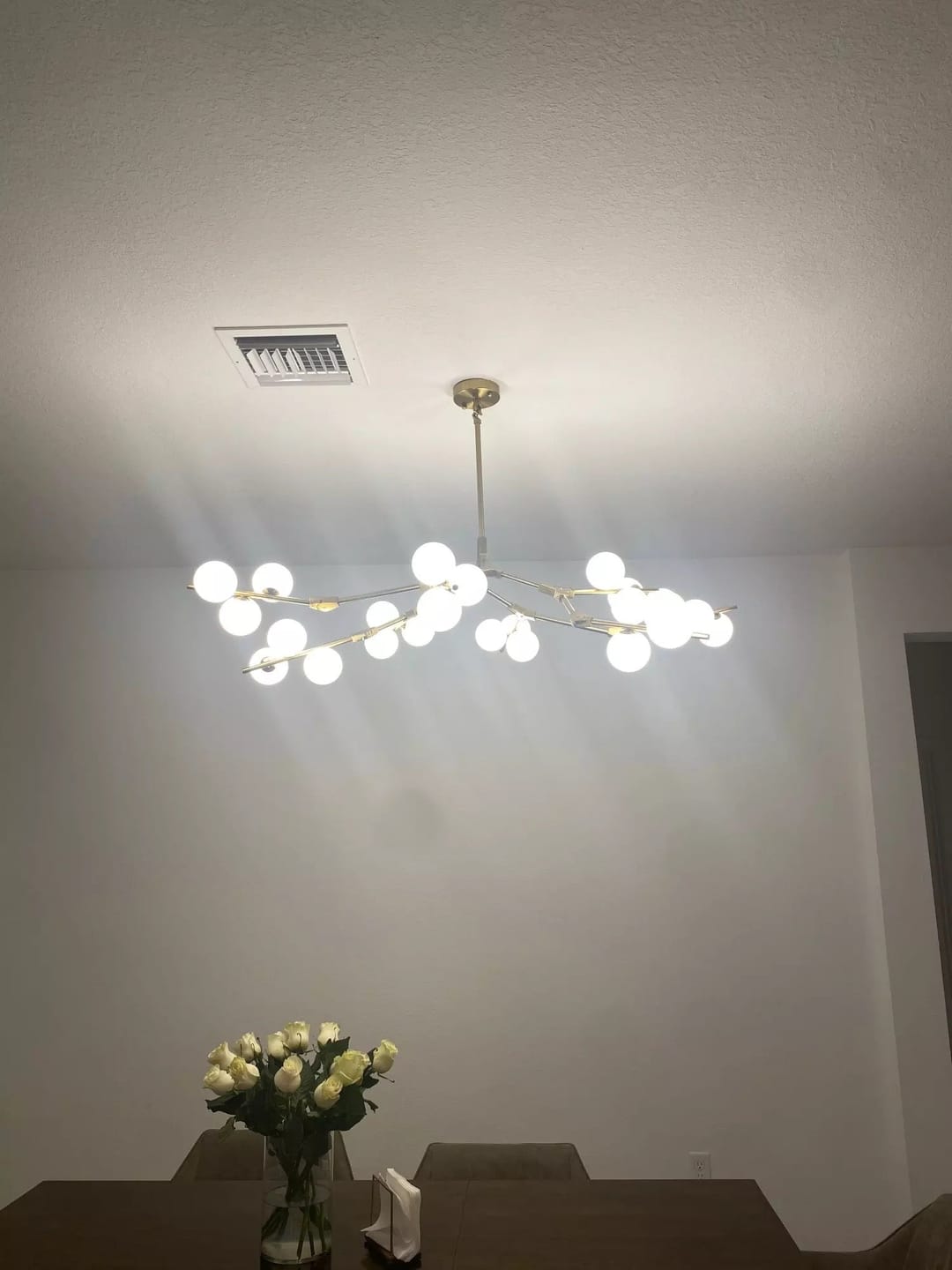 Customer photo review of Branch Cluster Chandelier