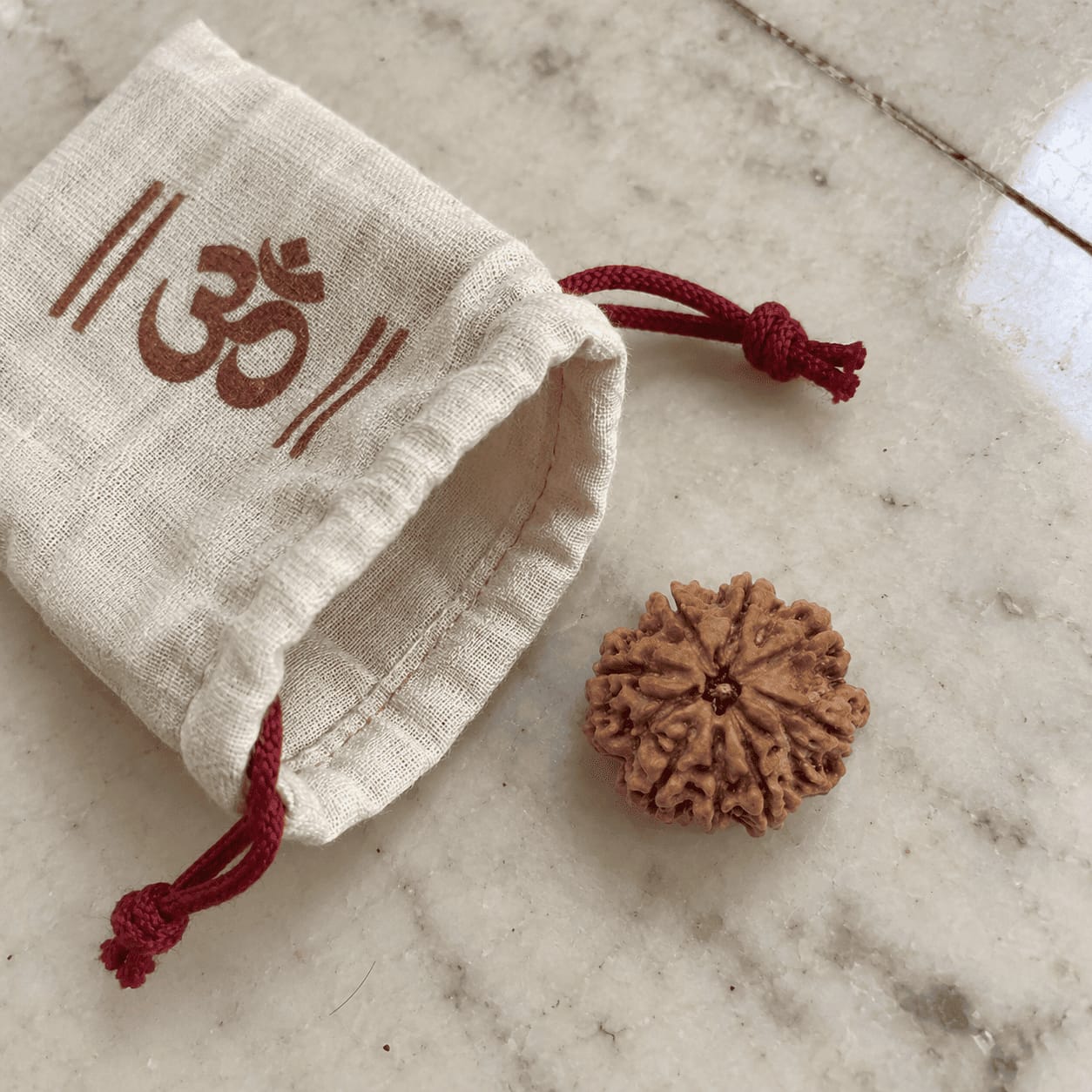 Customer photo review of 10 Mukhi Rudraksha (Nepali)