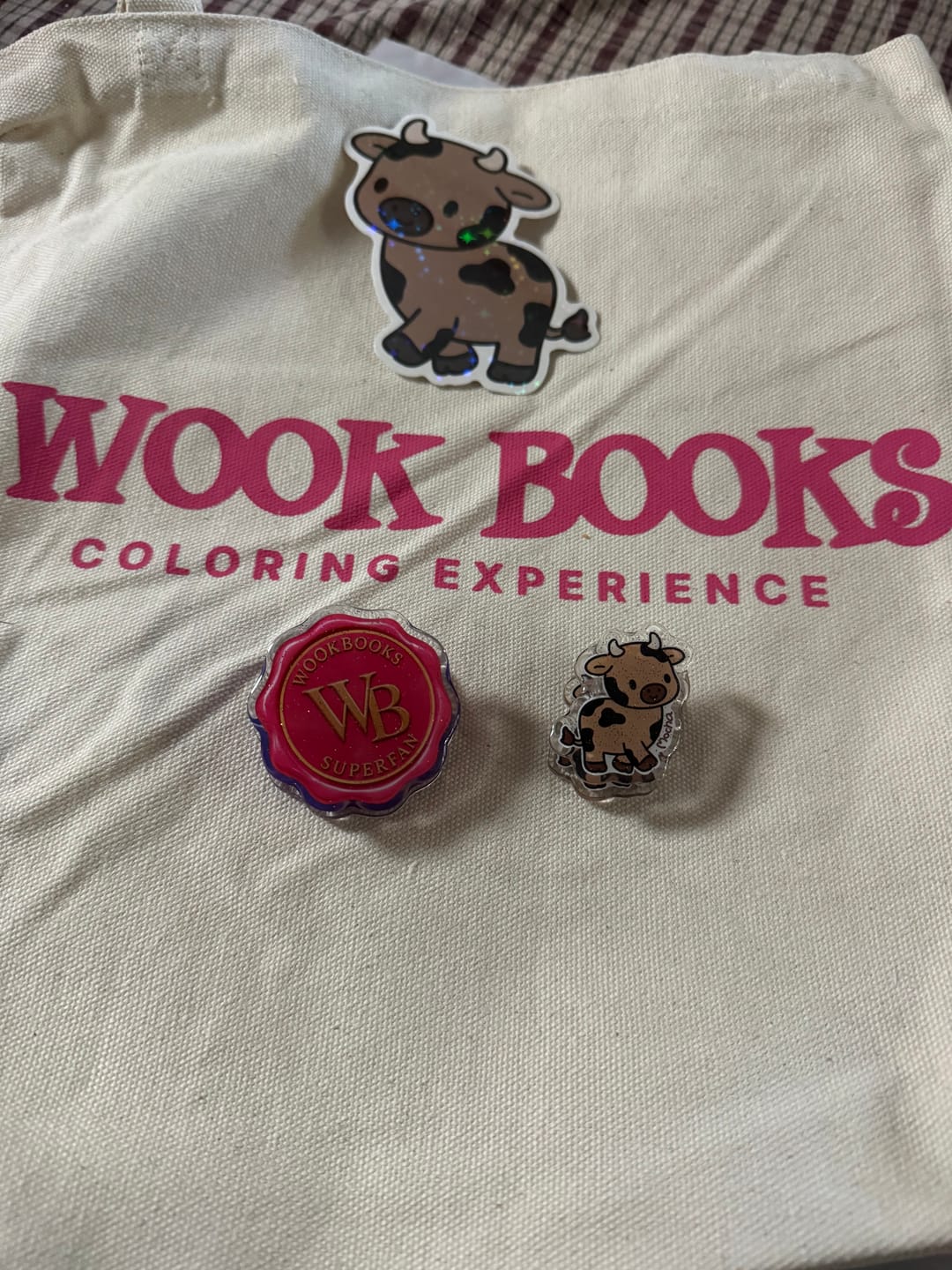 Customer photo review of Wook Books Coloring Experience Canvas Tote