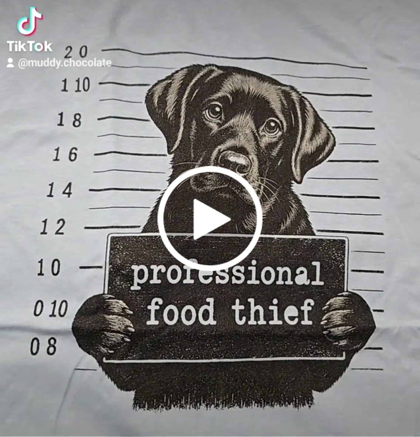 Customer video review of Professional Food Thief Shirt