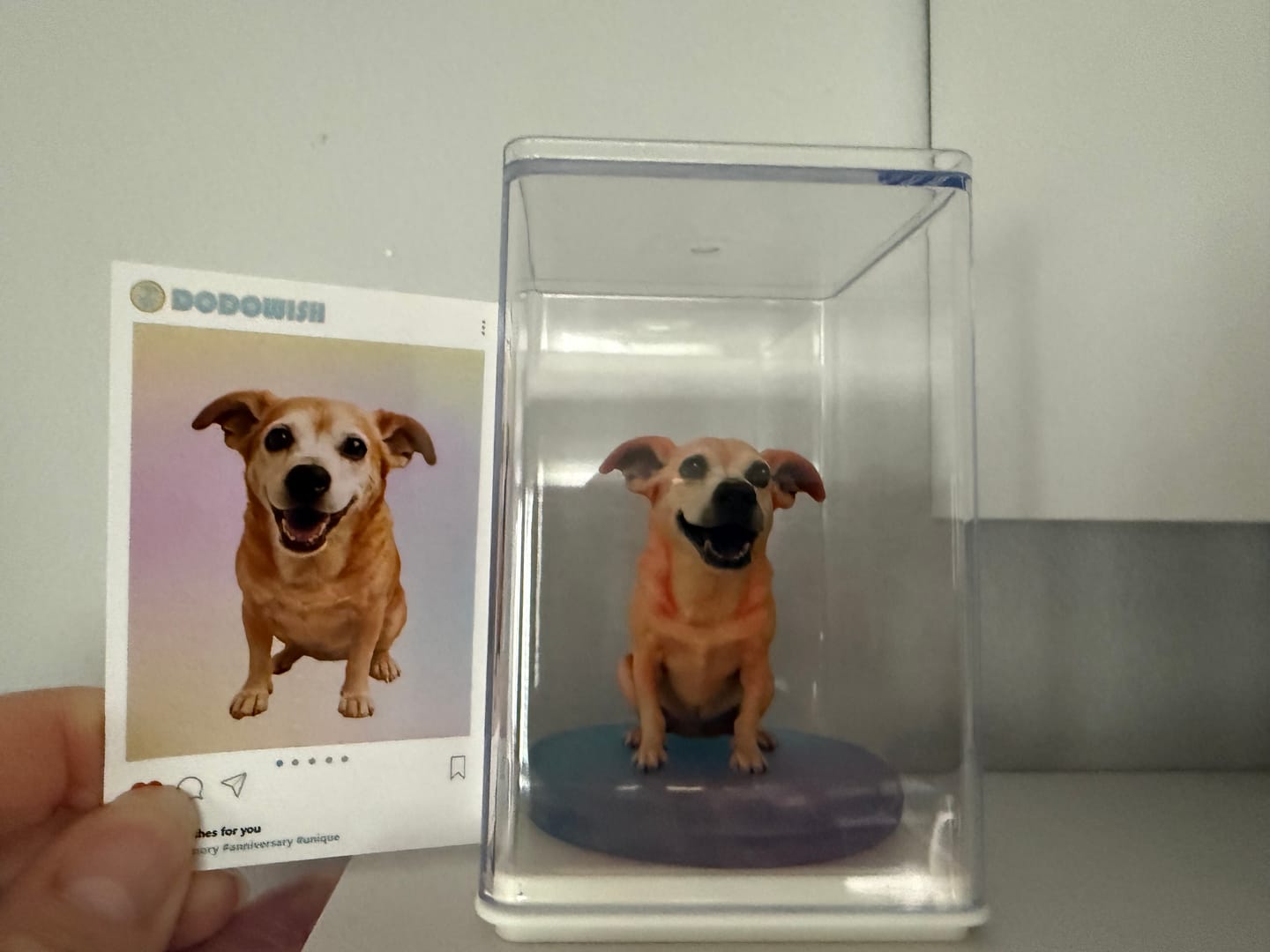 Customer photo review of Personalized Pet 3D Figurine from Photo