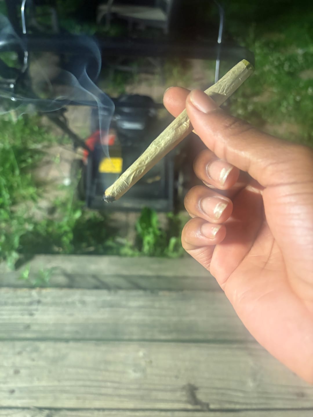 Customer photo review of KIND - Blue Dream - Micros - 28 Grams - Sativa