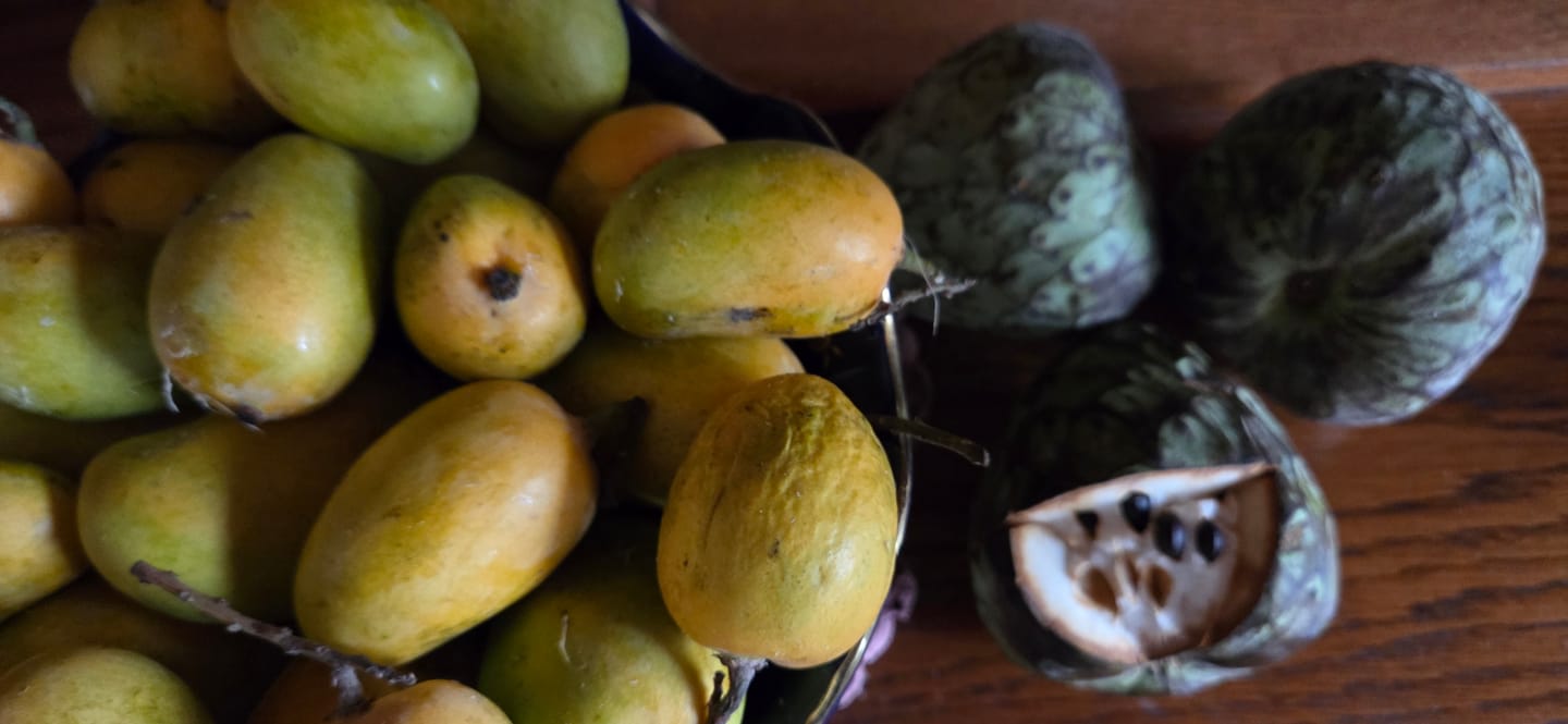 Customer photo review of Cherimoya von Julian