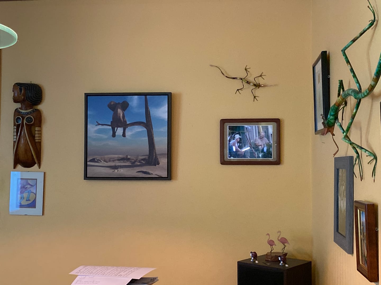 Customer photo review of Elephant Desert Tree