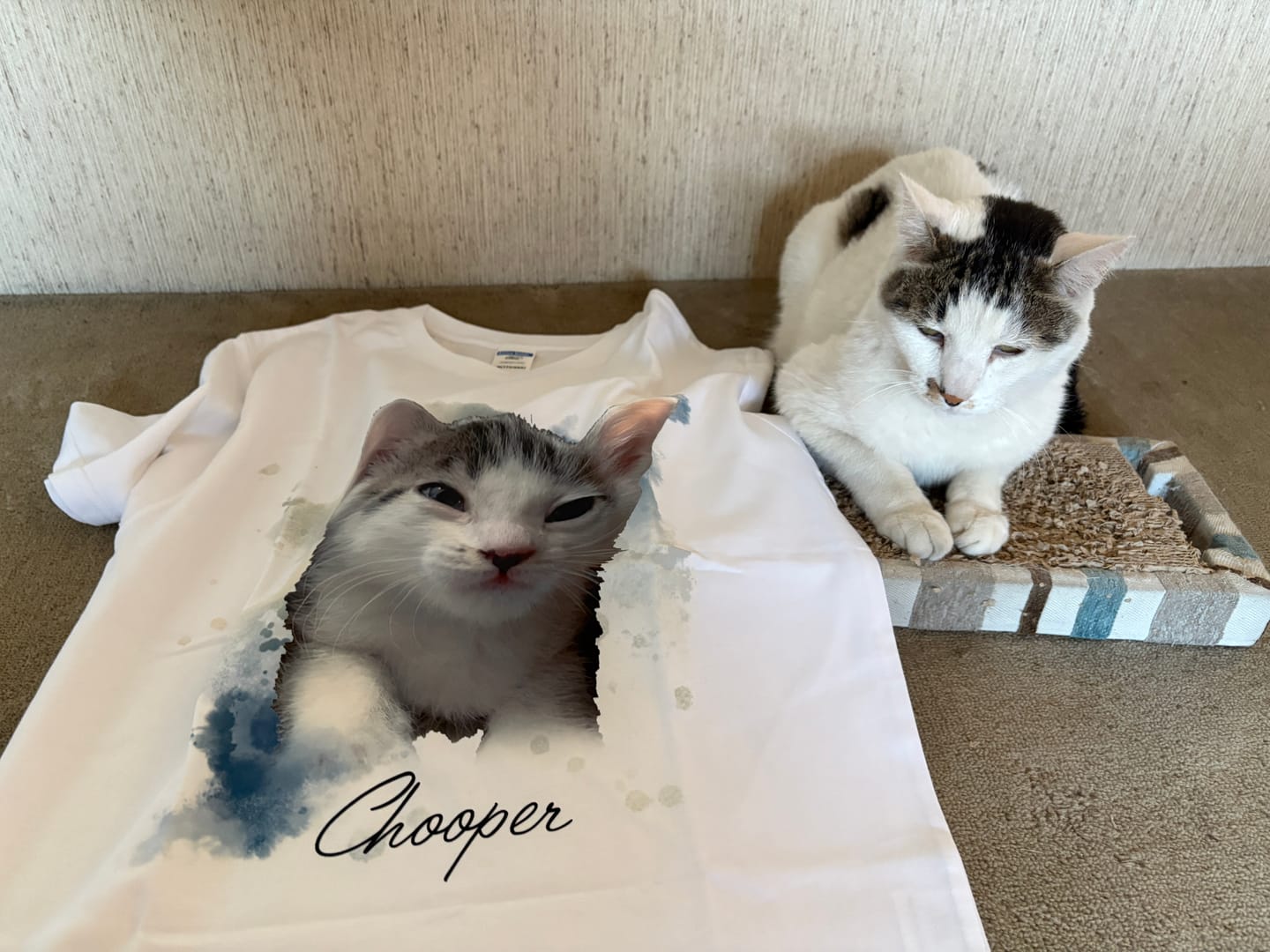 Customer photo review of 愛するペットの水彩画風オリジナルTシャツ