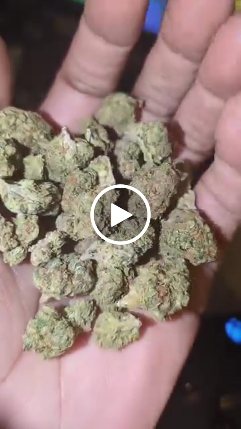 Customer video review of Greenhouse Smalls