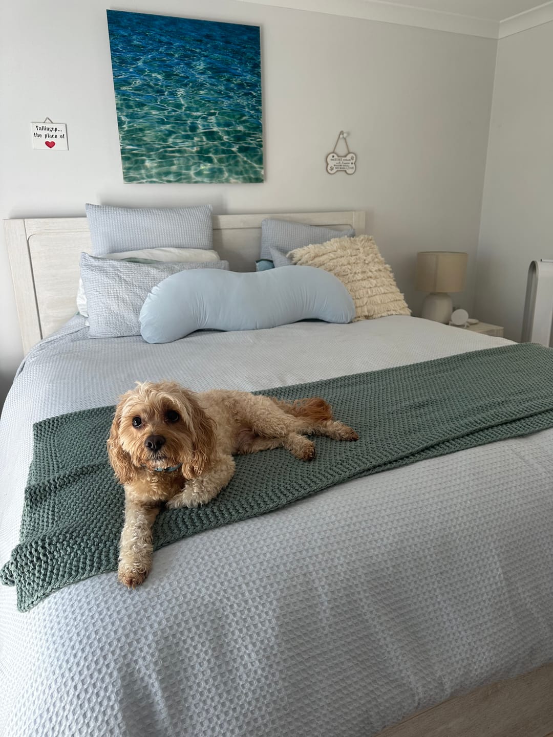 Customer photo review of Snuggi Body Align Pillow
