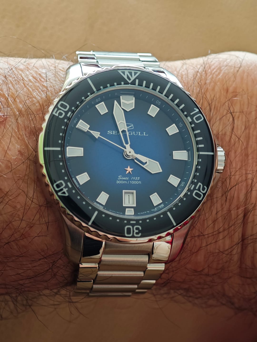 Customer photo review of Ocean Series Pro 300m Waterproof Diving Watch 41mm