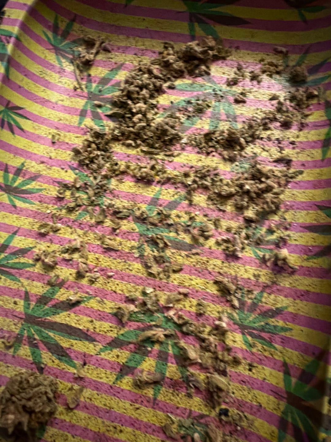 Customer photo review of Cheap THCA Flower Quarter Pound