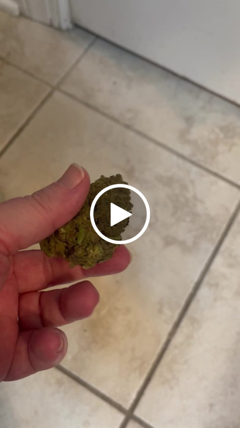 Customer video review of Blueberry Zkittlez - 28 Grams - Indica