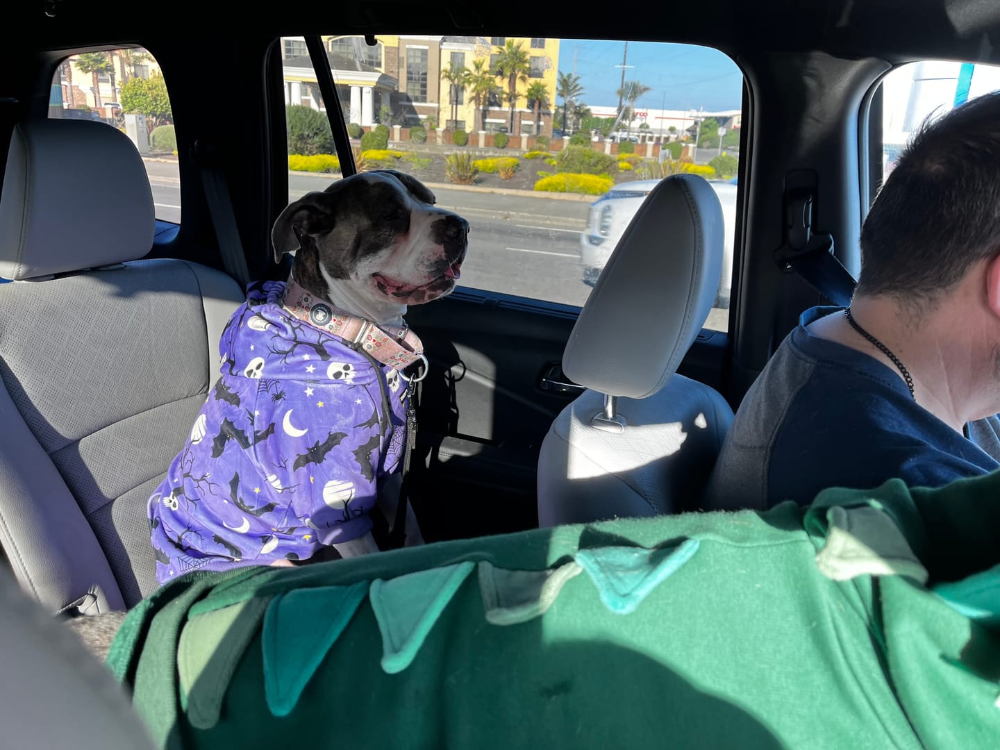 Customer photo review of Halloween Dog Hoodie - Purple
