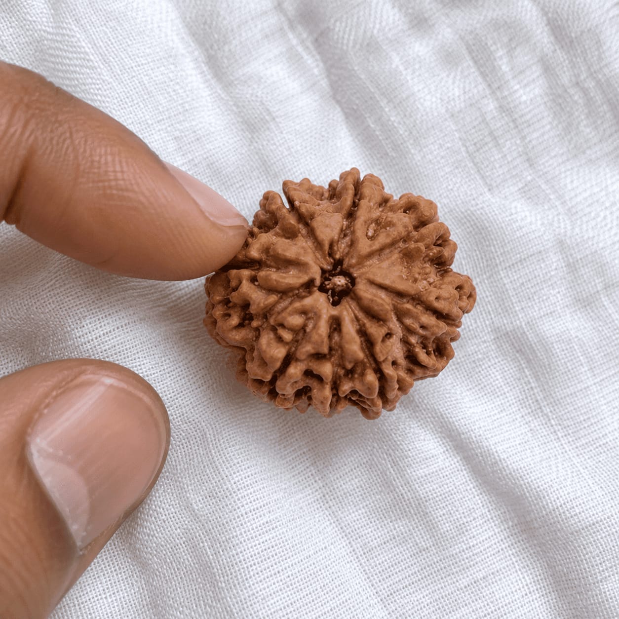 Customer photo review of 9 Mukhi Rudraksha (Nepali)