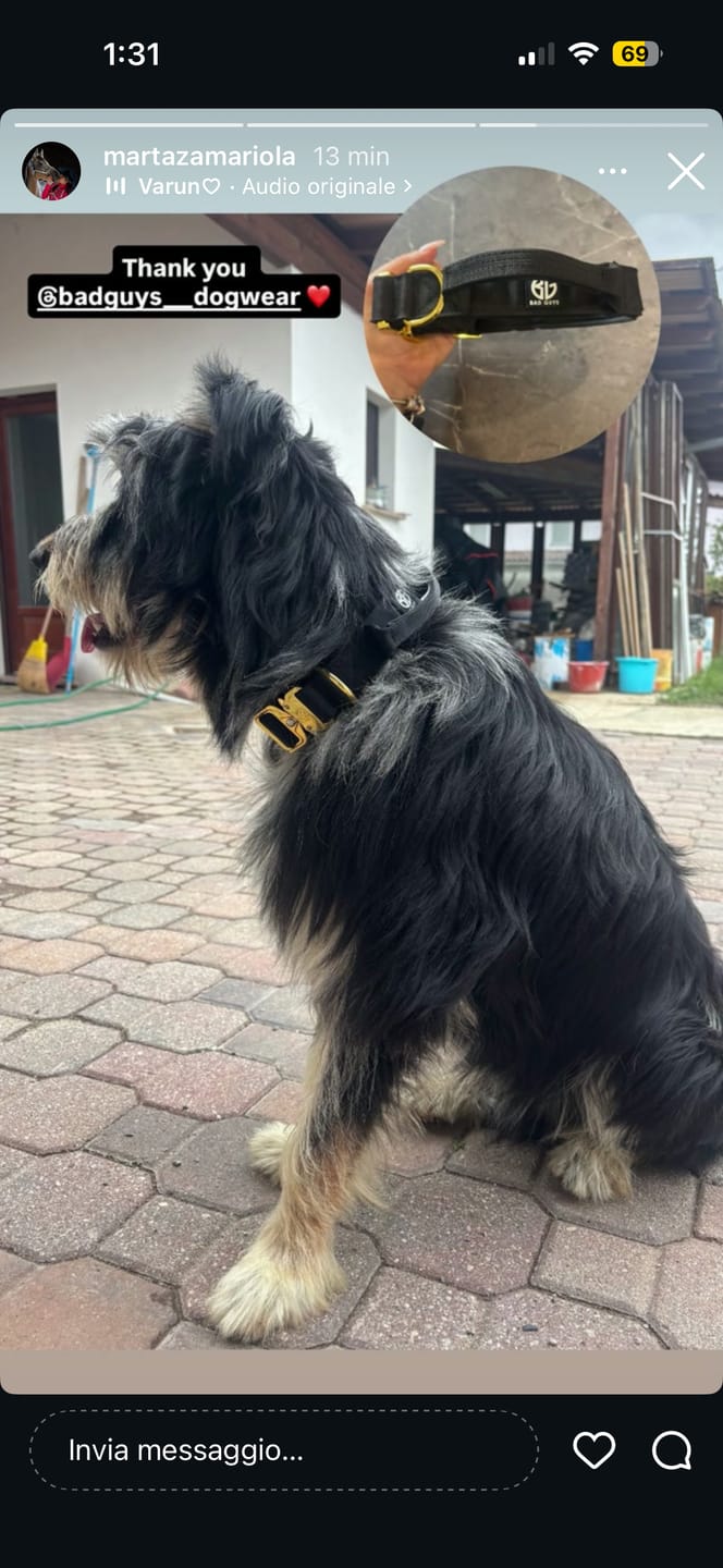 Customer photo review of Collare Crime 3cm