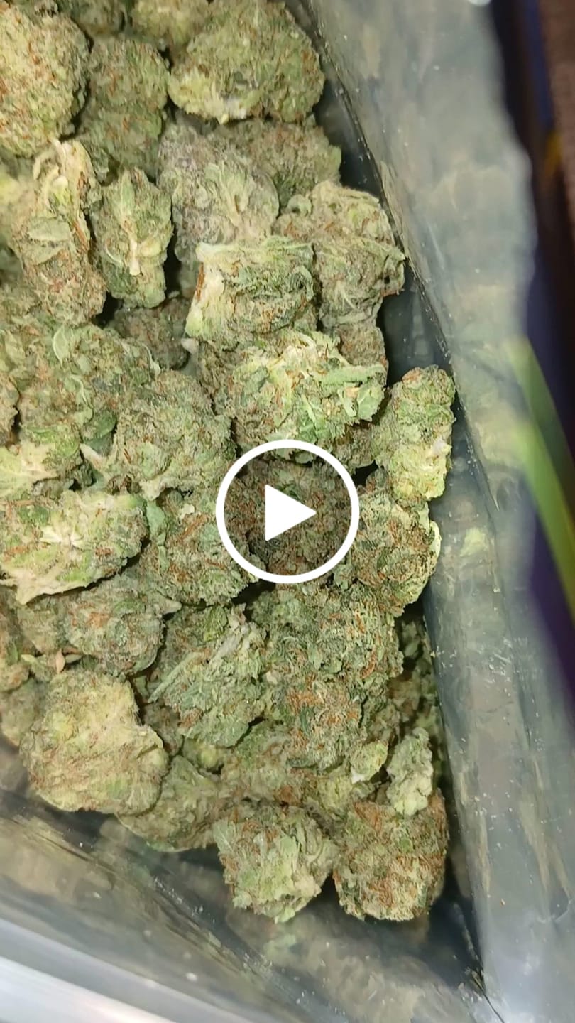 Customer video review of Light Assist THCA Smalls