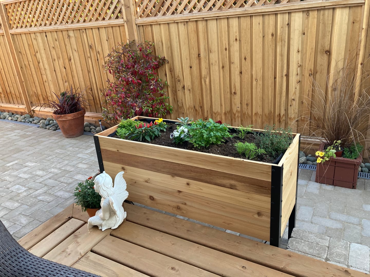 Customer photo review of 18" x 48" Raised Garden Bed - 30" TALL - Select Grade