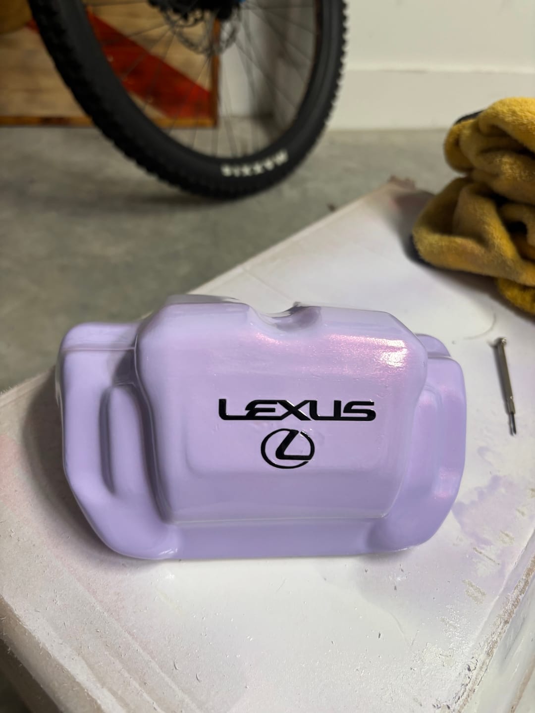 Customer photo review of Purple Soft Shift Spray Can