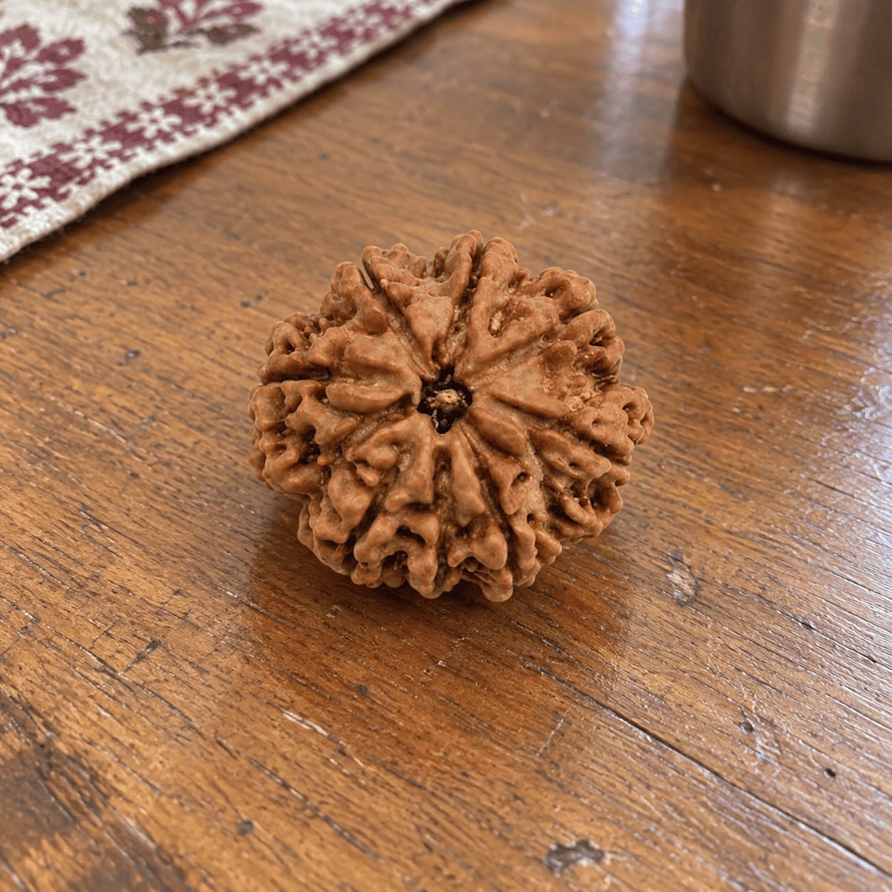 Customer photo review of 9 Mukhi Rudraksha (Nepali)