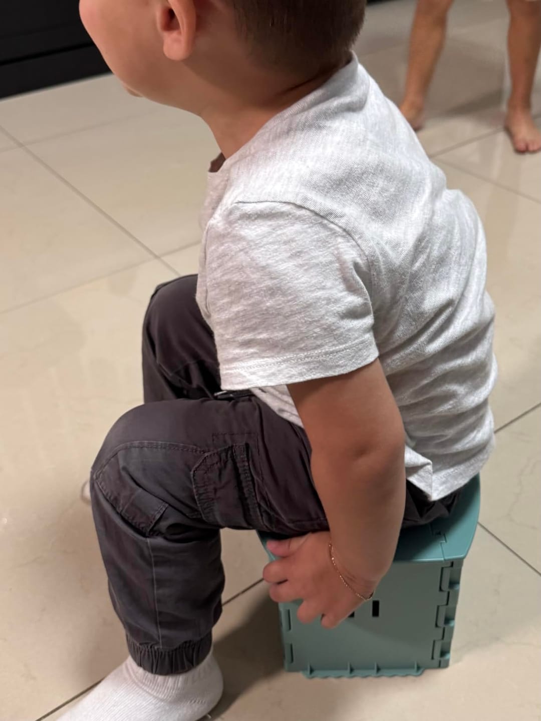 Customer photo review of NestGo! – Foldable Travel Potty
