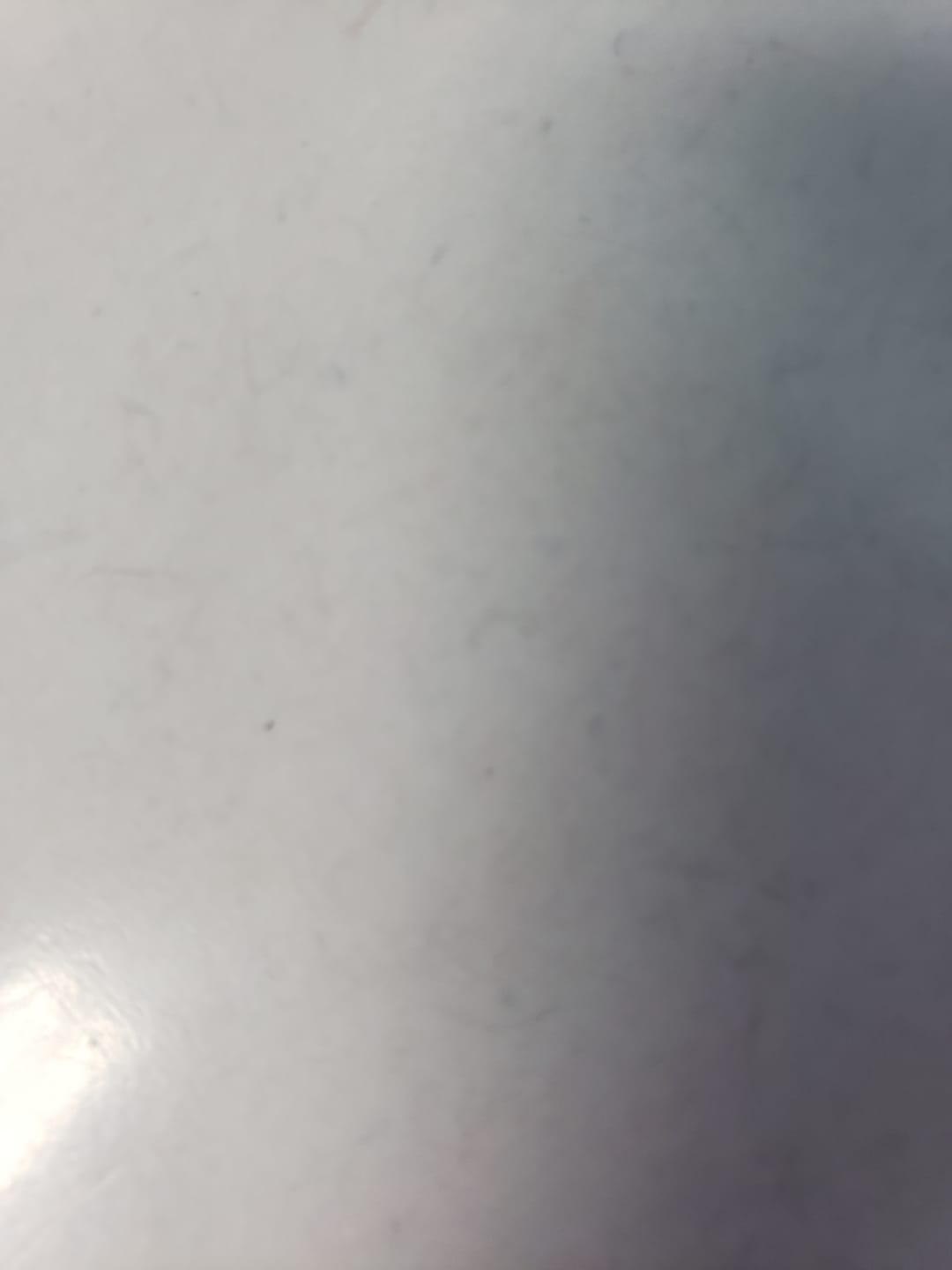 Customer photo review of ZAZA - Jungle Gelato - 28 Grams - Indica