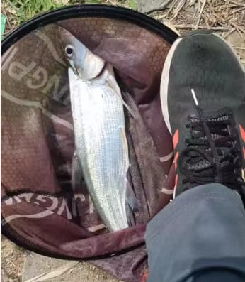 Customer photo review of Calendario de Adviento de Pesca