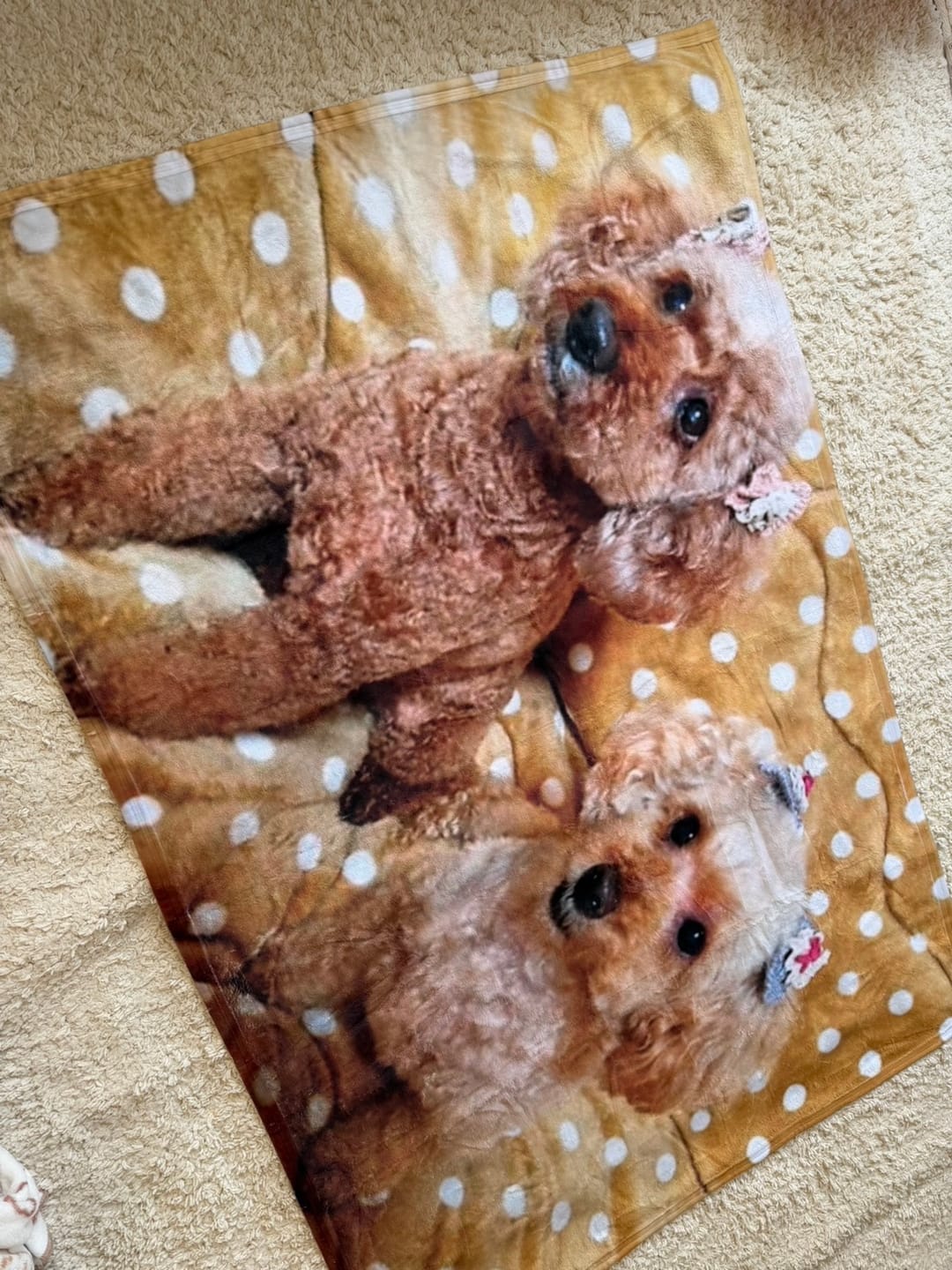 Customer photo review of 世界にひとつだけ♪好きな写真で作るオリジナルブランケット