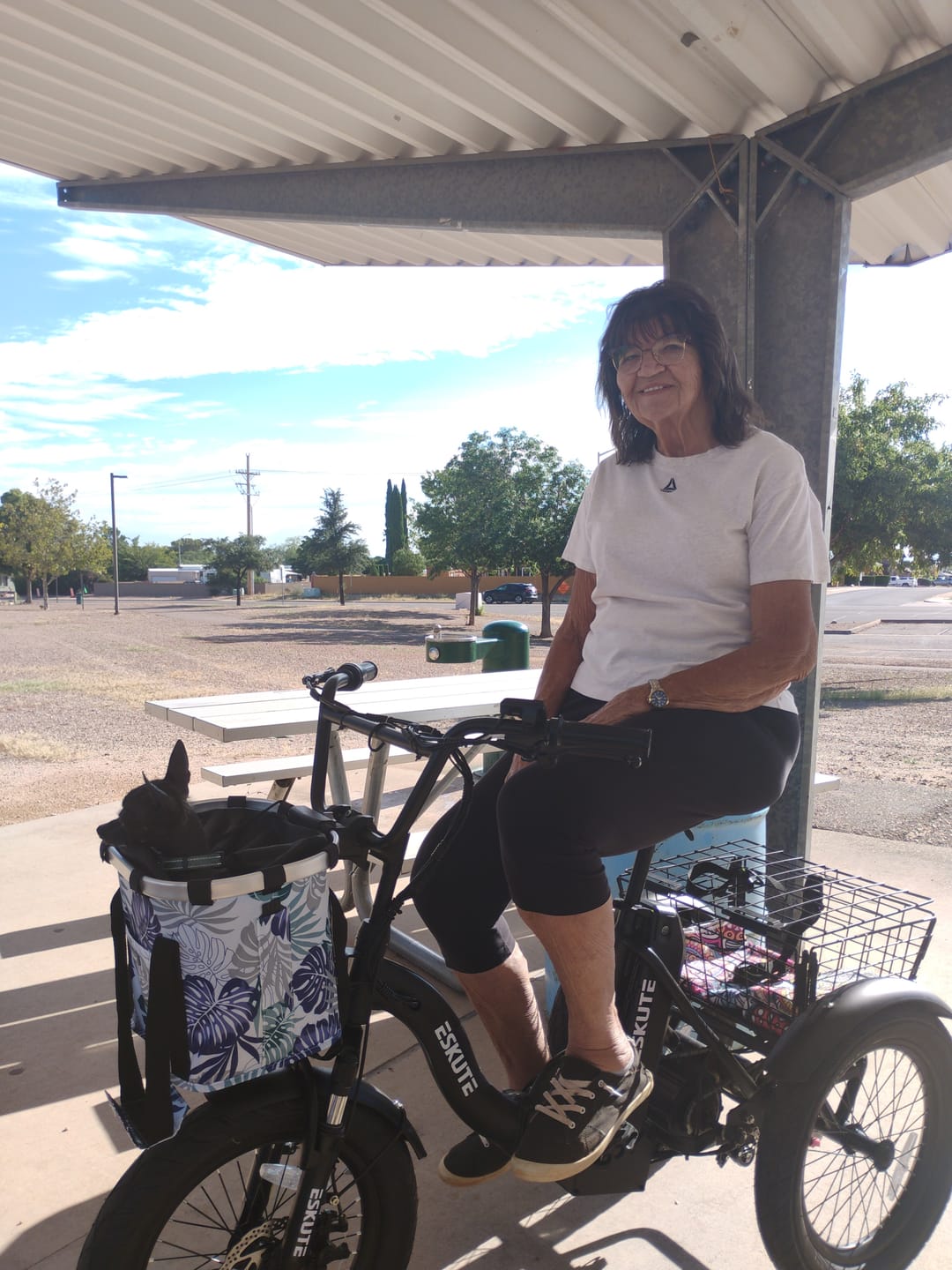 Customer photo review of Eskute® T300 Folding Electric Trike