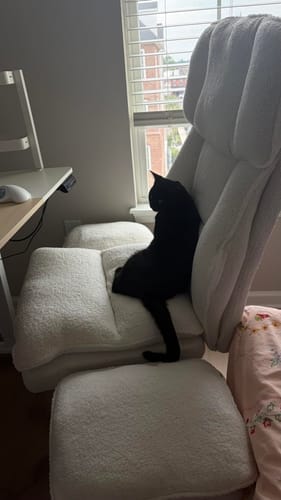 Customer photo review of Executive Home Office Series