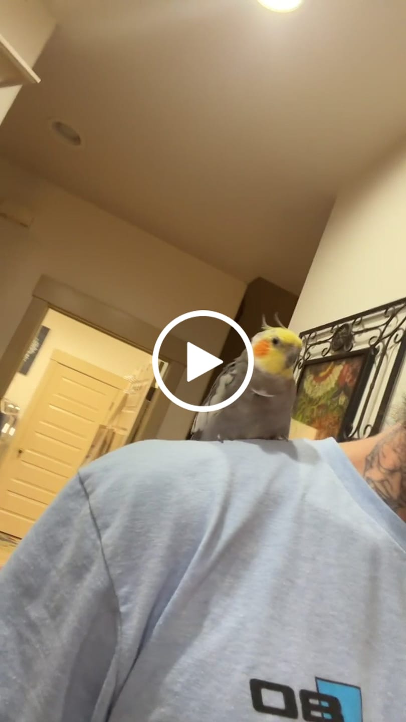 Customer video review of 80Eighty® Sky Shirt