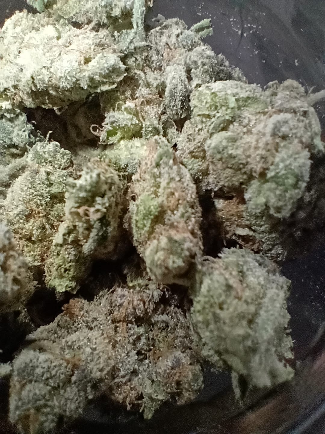 Customer photo review of Cheap Indoor THCA Flower Ounce
