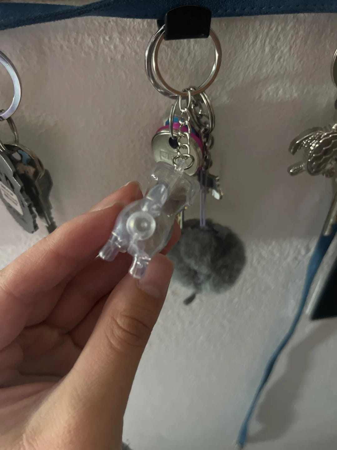 Customer photo review of Llavero GuardaPelito