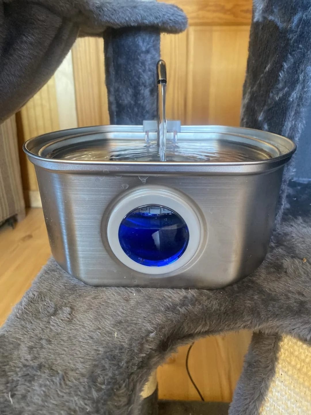 Customer photo review of Purecat Bron UV 4 L