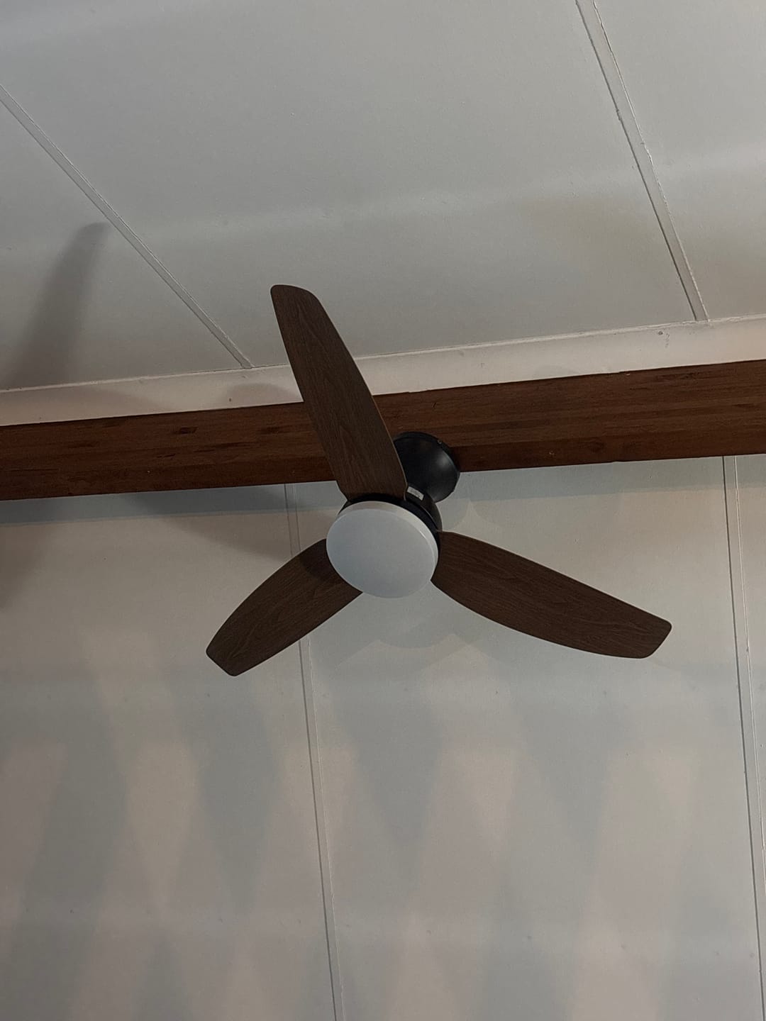 Customer photo review of Dorothy Metal Ceiling Fan with LED Light