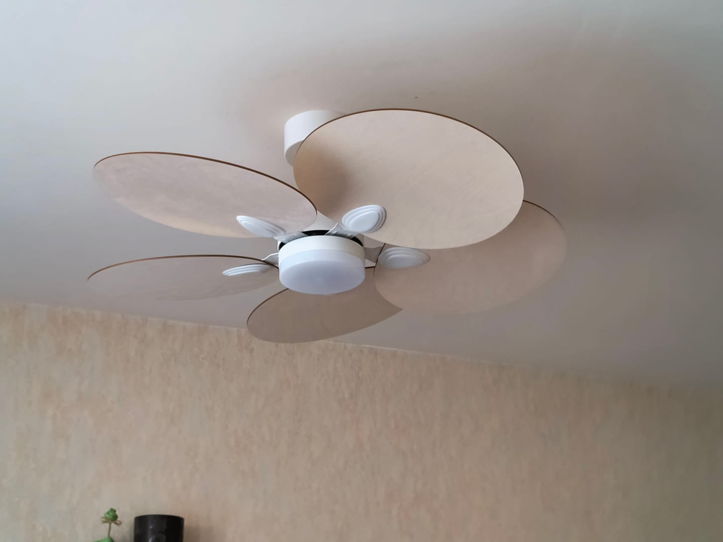 Customer photo review of Lotus | Ventilateur de plafond