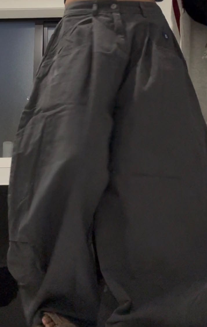 Customer photo review of Aelfric Eden Pleated Pocket Baggy Barrel Pants