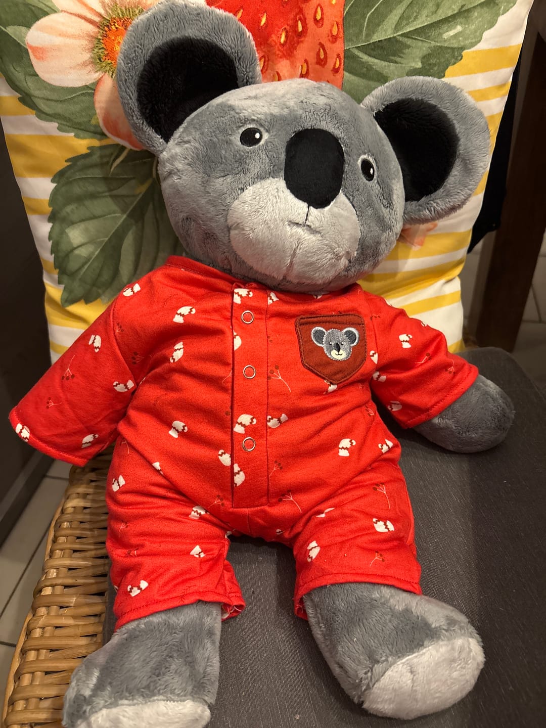 Customer photo review of Lotgenootje Koala 2kg