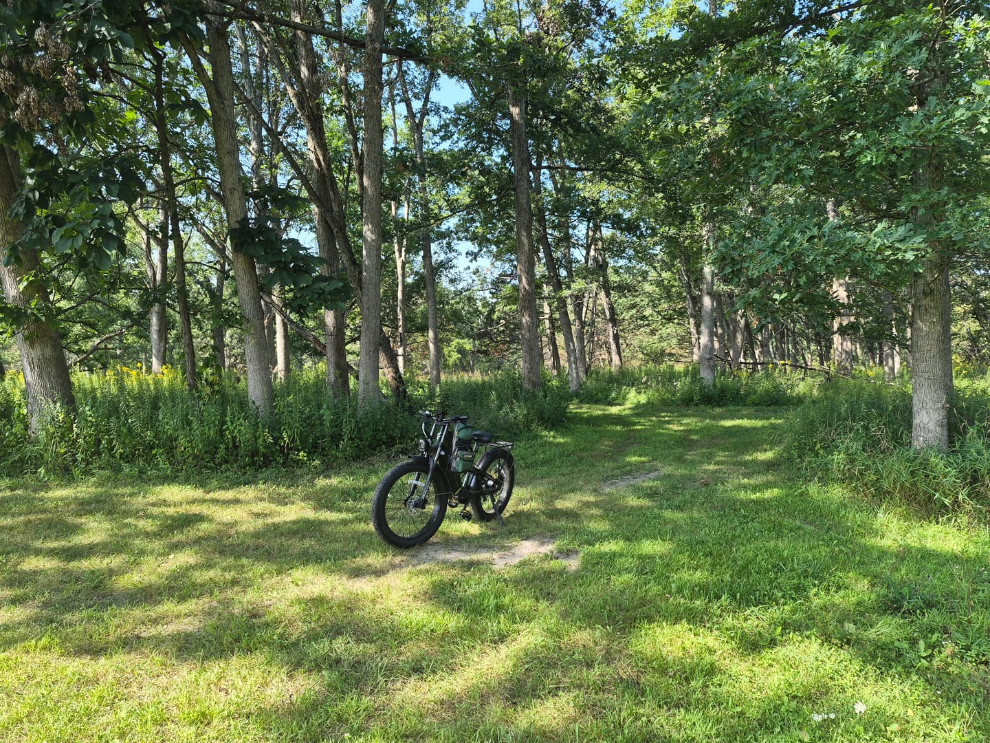 Customer photo review of Swift Horse Ultra X-6E
