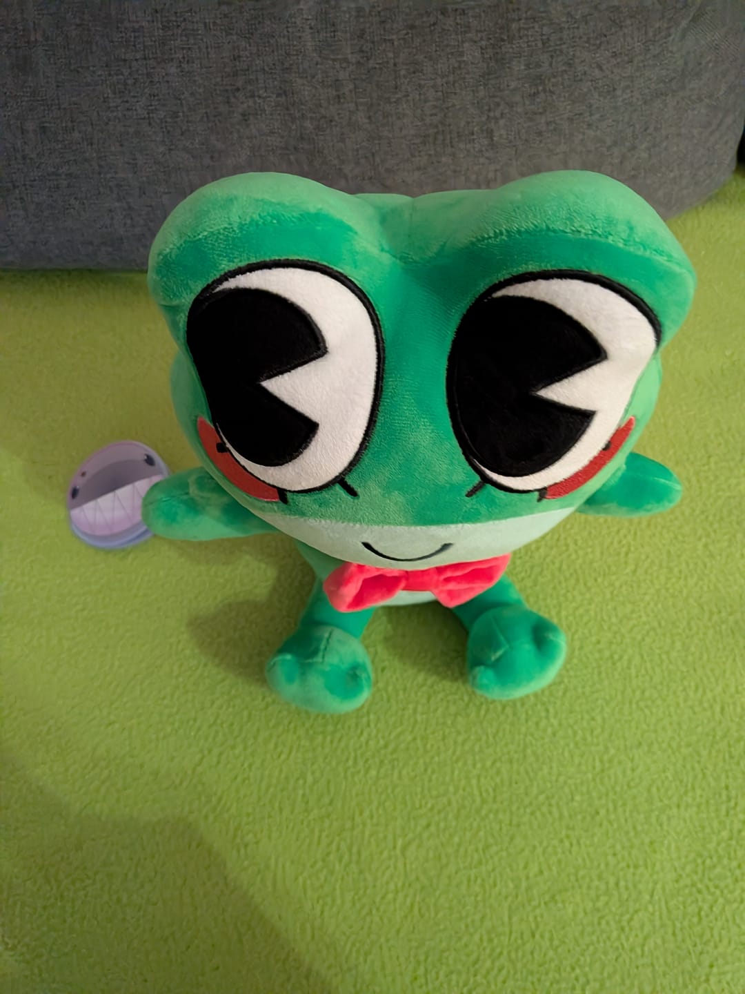 Customer photo review of Ribbit Plush