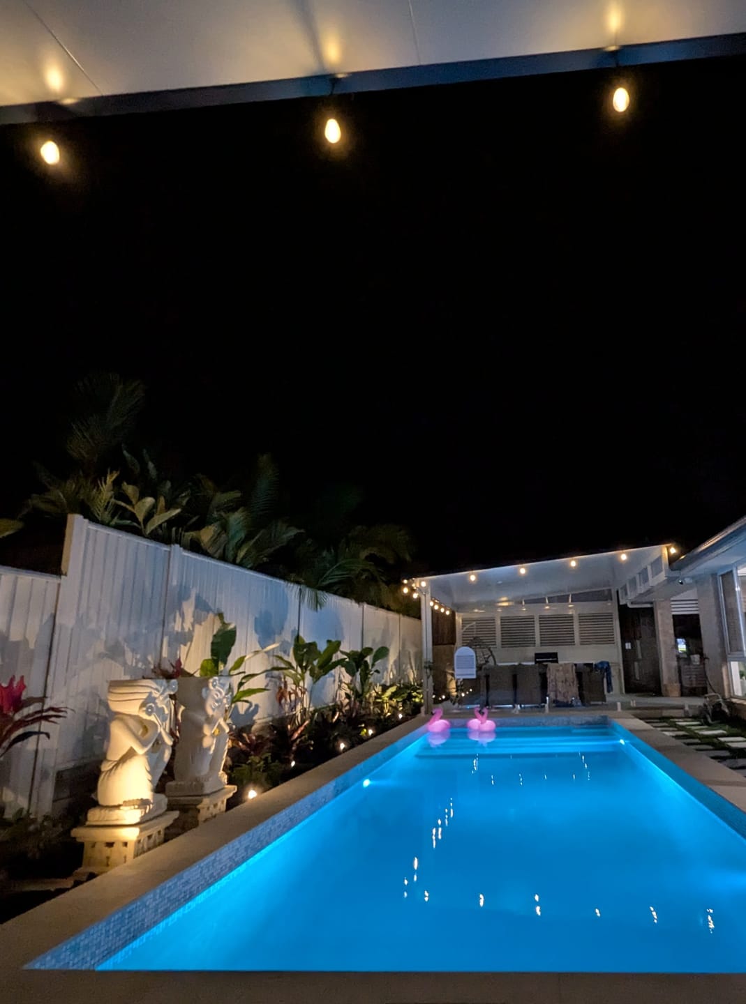 Customer photo review of GardenBrite™ Solar Spotlight Pack
