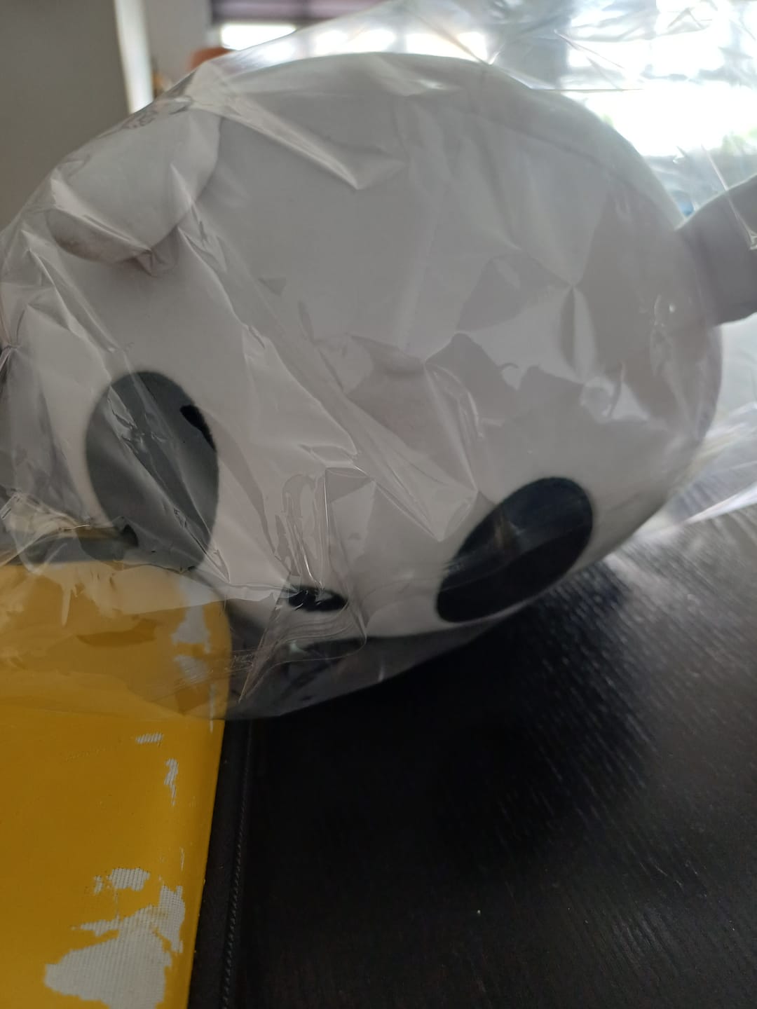 Customer photo review of Rain World - Survivor Slugcat Pillow Plush