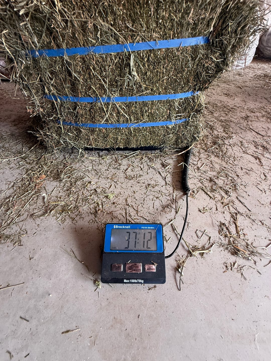 Customer photo review of 2nd Cutting (2026 Crop) NY Timothy Orchard Grass Hay (Buy More - Save More)(Includes delivery too!)