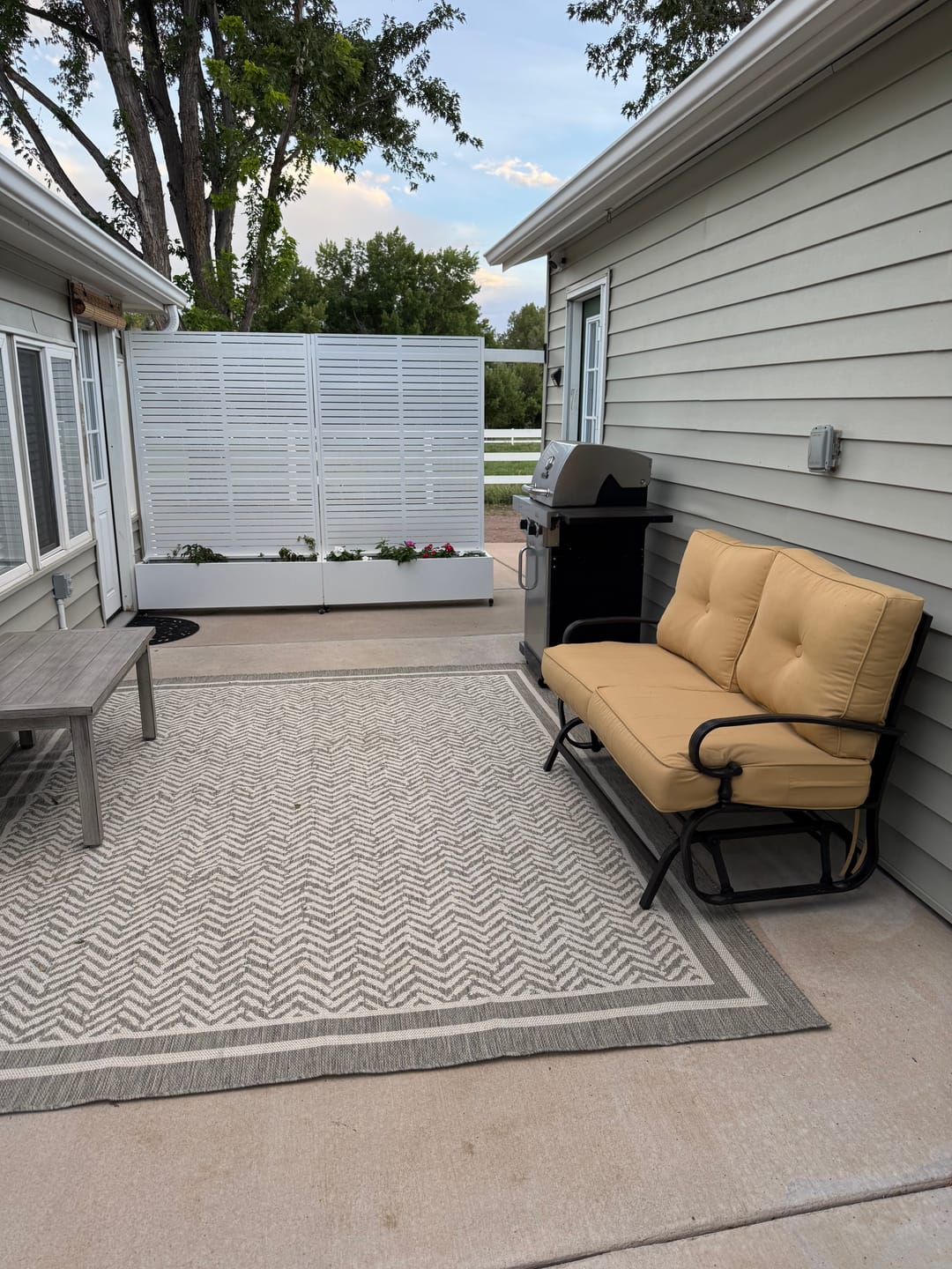 Customer photo review of Loom Indoor/Outdoor Rug - Gray