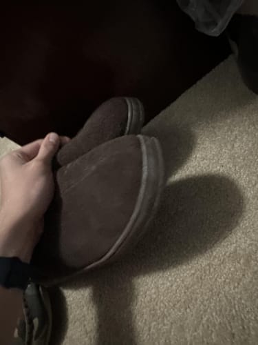 Customer photo review of BEAU HICKORY