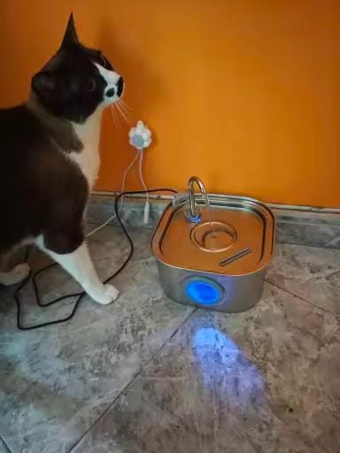 Customer photo review of Purecat Bron UV 4 L