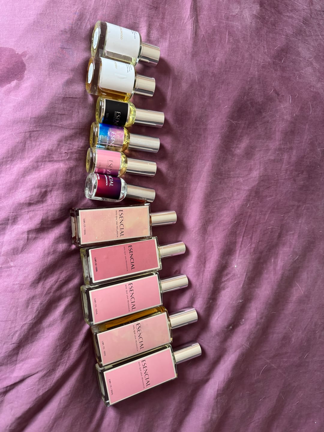 Customer photo review of M424 Inspirado en: Babycat - Yves Saint Laurent