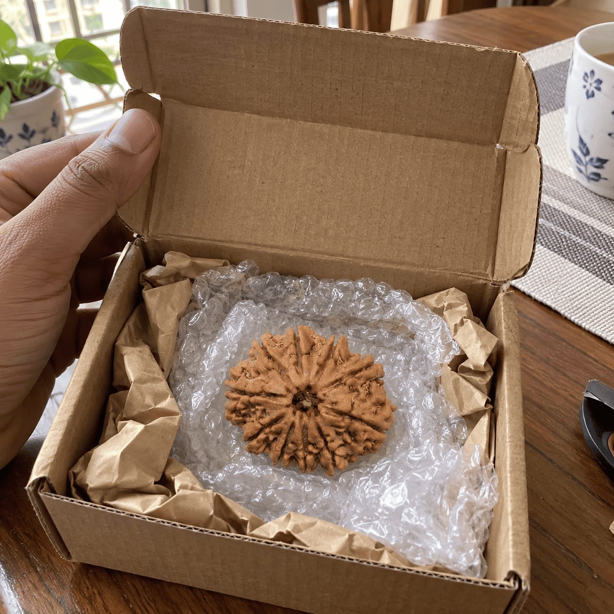 Customer photo review of 10 Mukhi Rudraksha (Nepali)