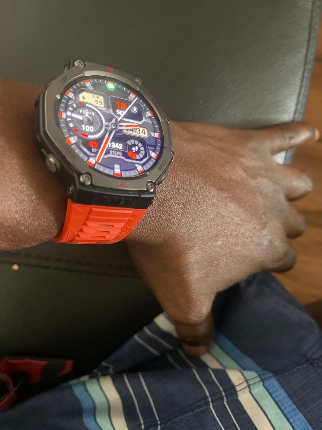 Customer photo review of T-Rex 3