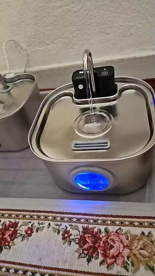 Customer photo review of Purecat Bron UV 4 L