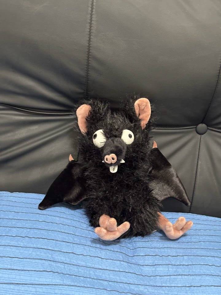 Customer photo review of Waka Bat