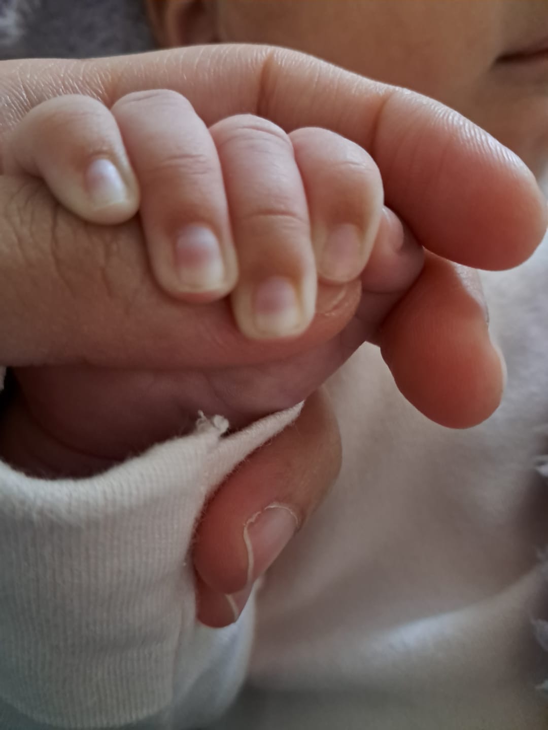 Customer photo review of Fertility Supplement