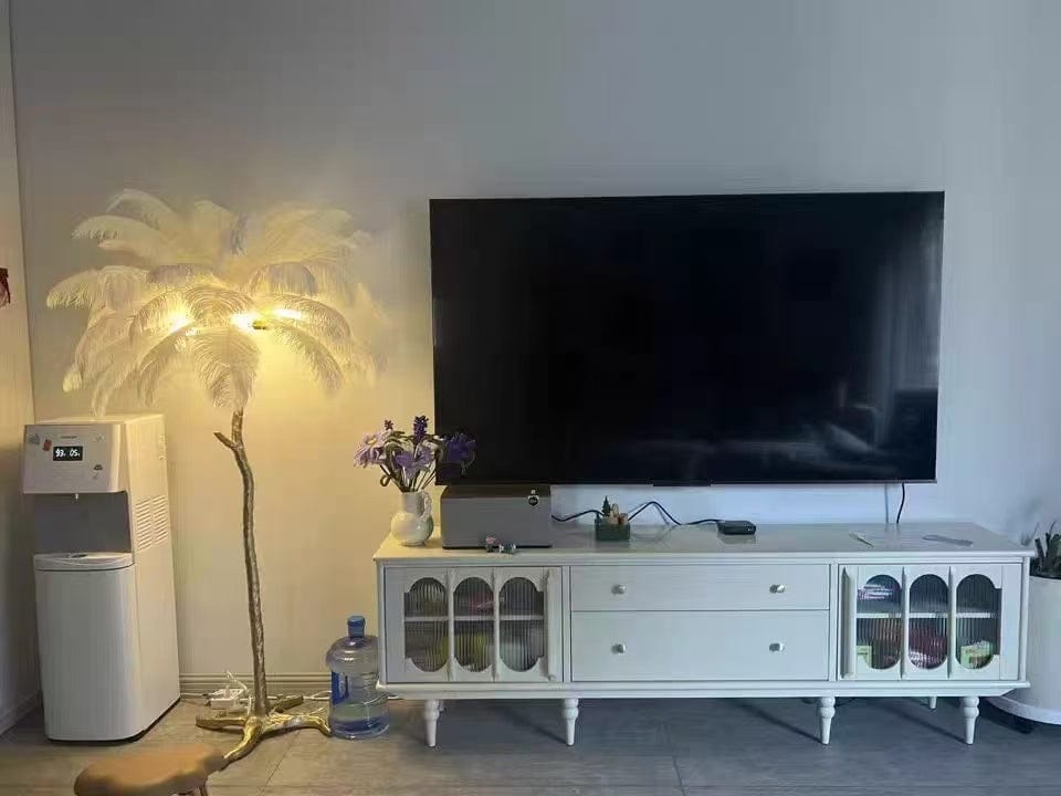 Customer photo review of Decorative Luxury Feather Floor Lamp